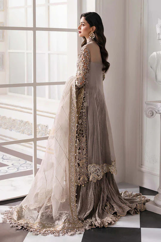 Pakistani Steel Grey Embroidered Organza Dress