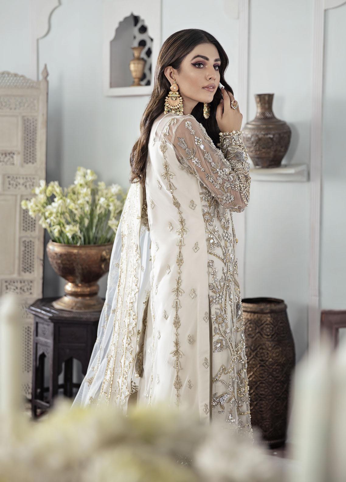 Pakistani Embroidered Net Dress