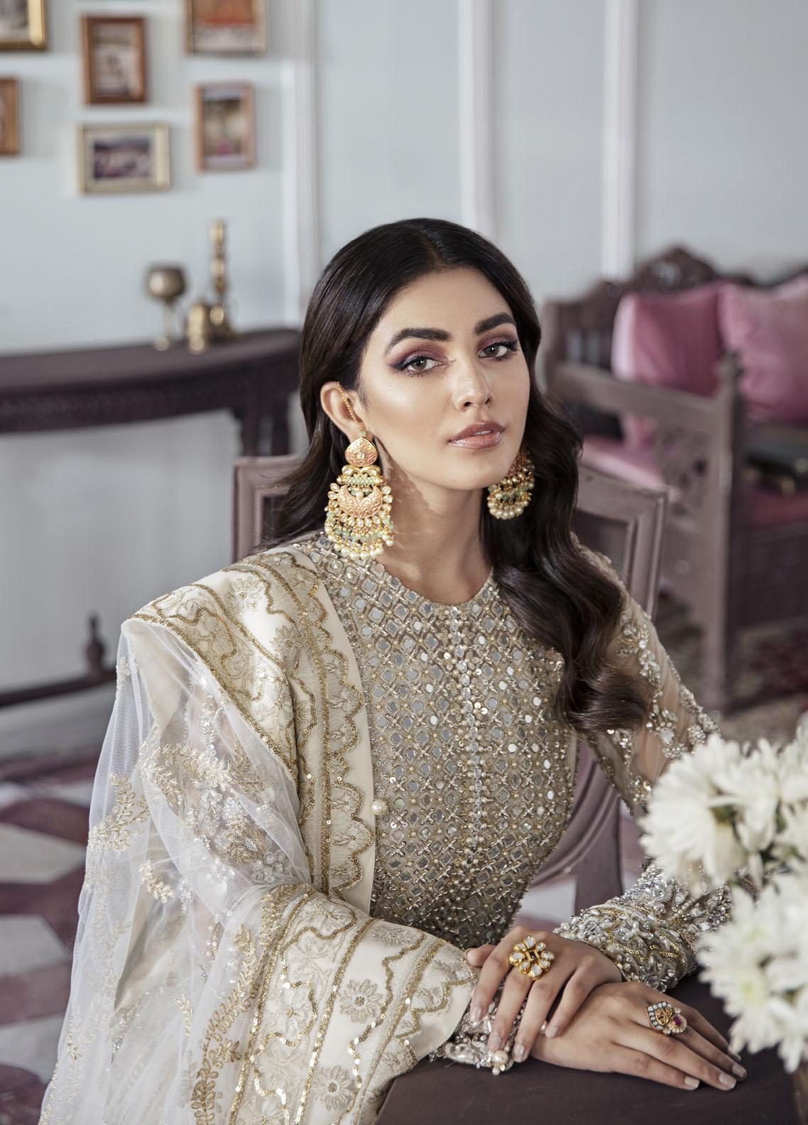 Pakistani Embroidered Net Dress
