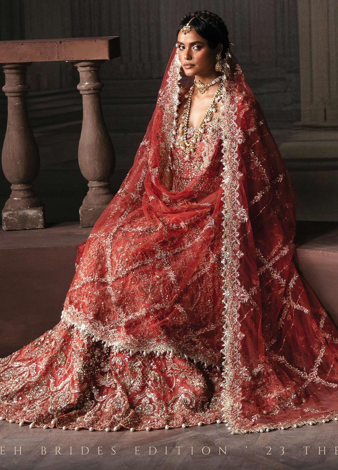 Pakistani Wedding Net Embroidered Dress Made On Custom Order